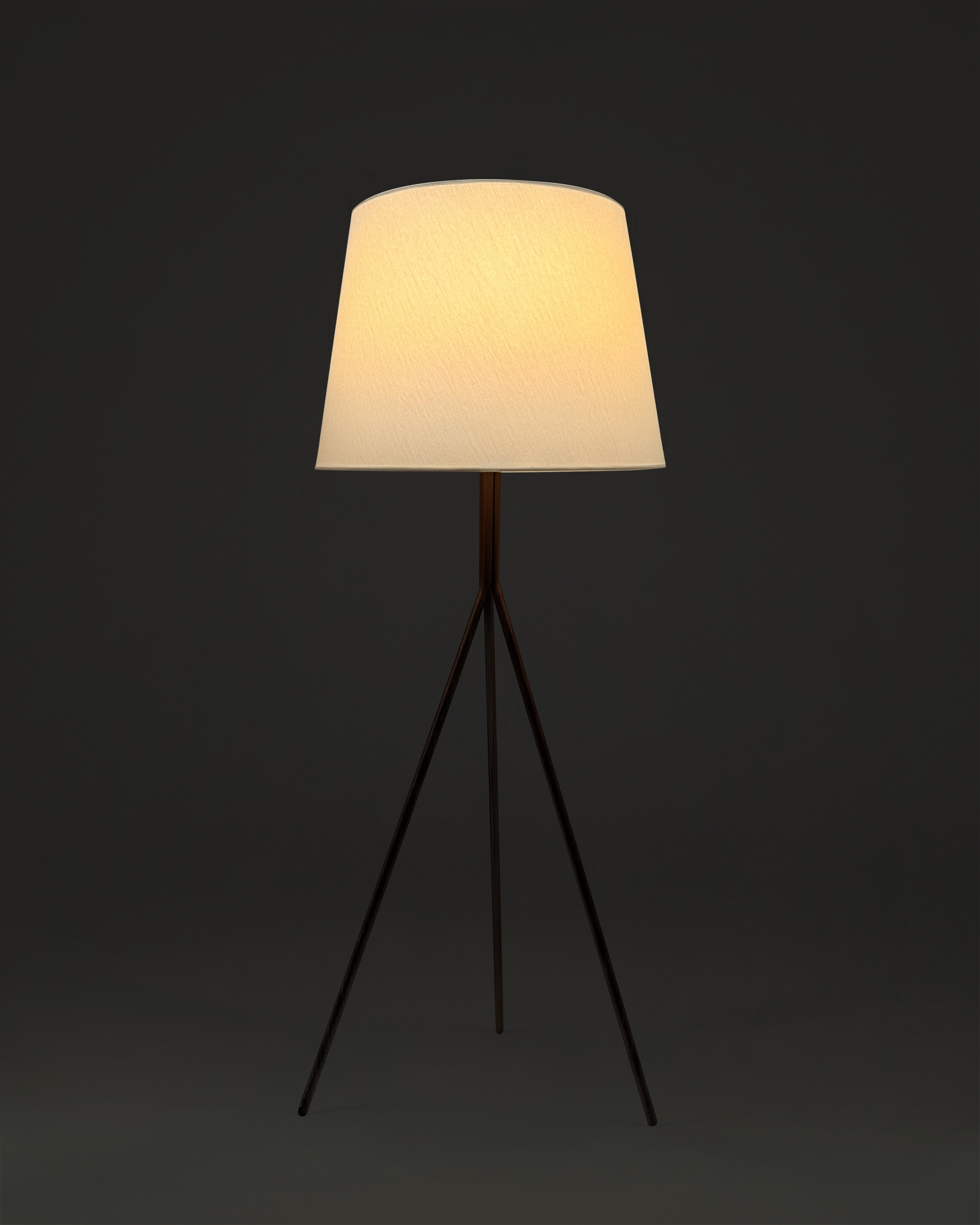 Forge Floor Lamp Modern Standing Home Lighting